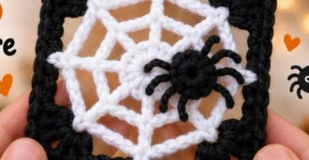 A crocheted square featuring a white spider web with a black 3D spider and black border, shown held in hands.